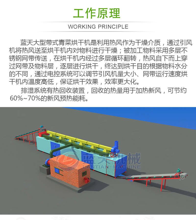 帶式青菜烘干機工作原理